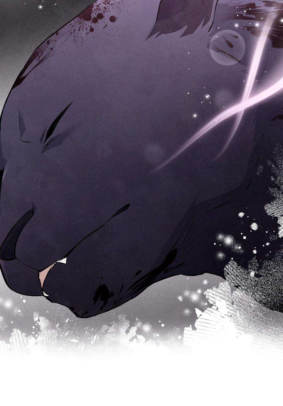 兔子与黑豹的共生关系69 黑豹不肯说