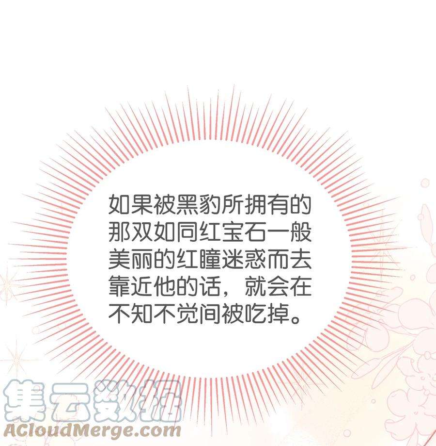 兔子与黑豹的共生关系71 狡猾的猛兽