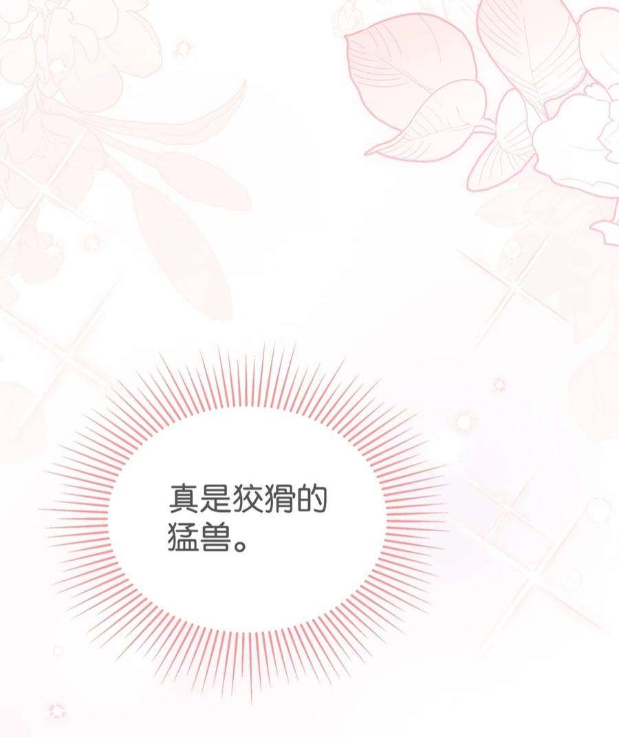 兔子与黑豹的共生关系71 狡猾的猛兽