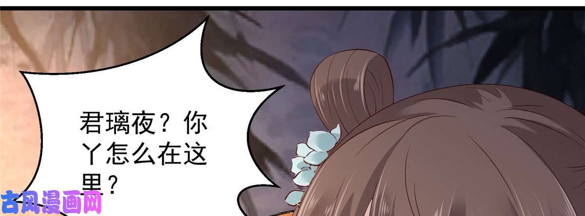 腹黑邪王宠入骨第24话 想报仇尽管来