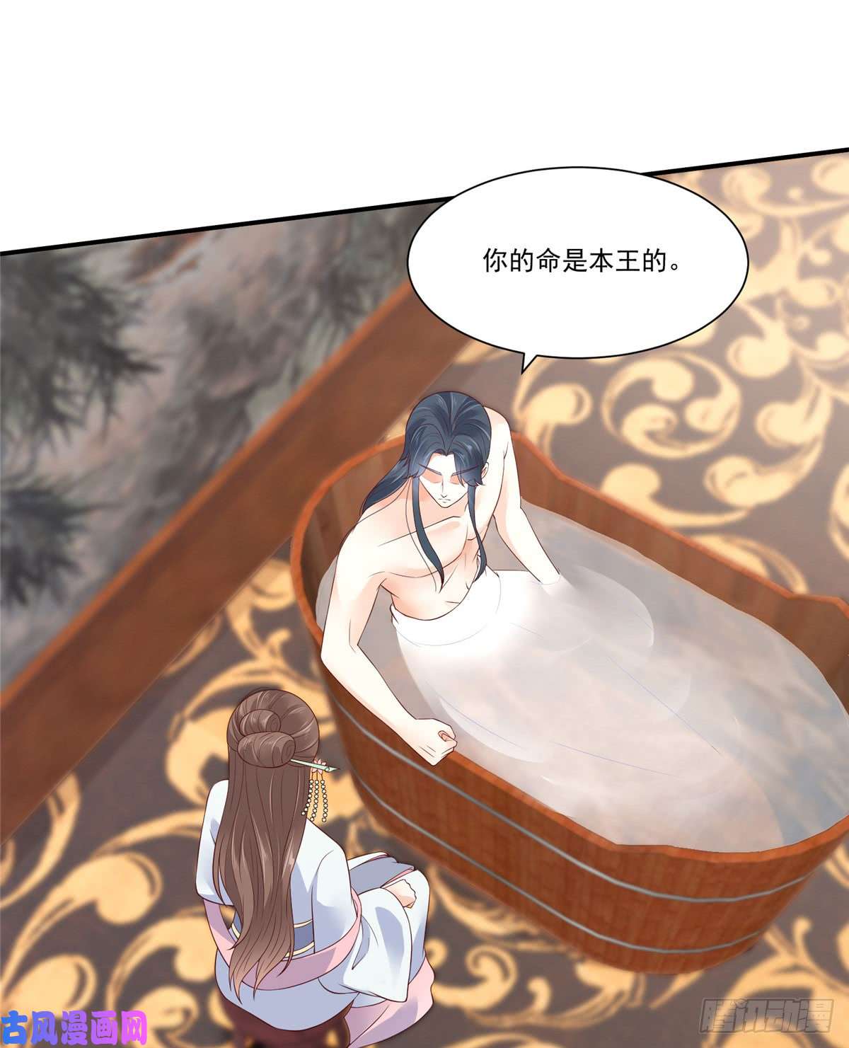 腹黑邪王宠入骨第47话 看过了要负责