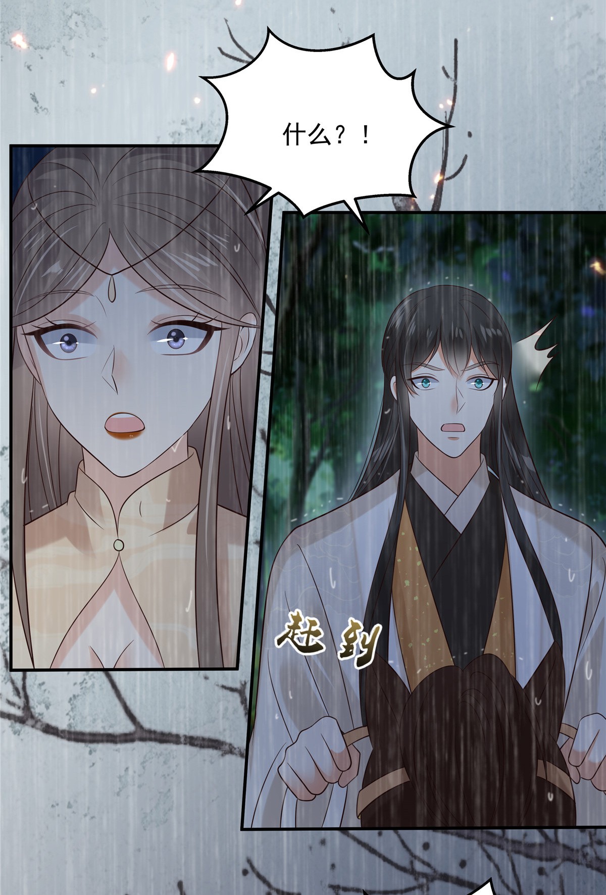 腹黑邪王宠入骨147 落月宫宫主