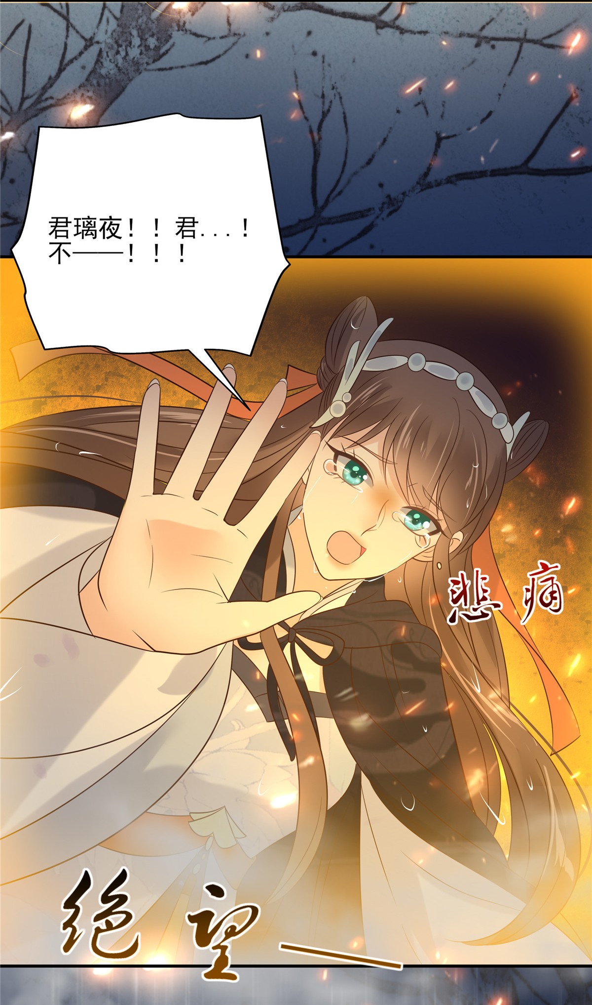 腹黑邪王宠入骨150 盈儿，我爱你