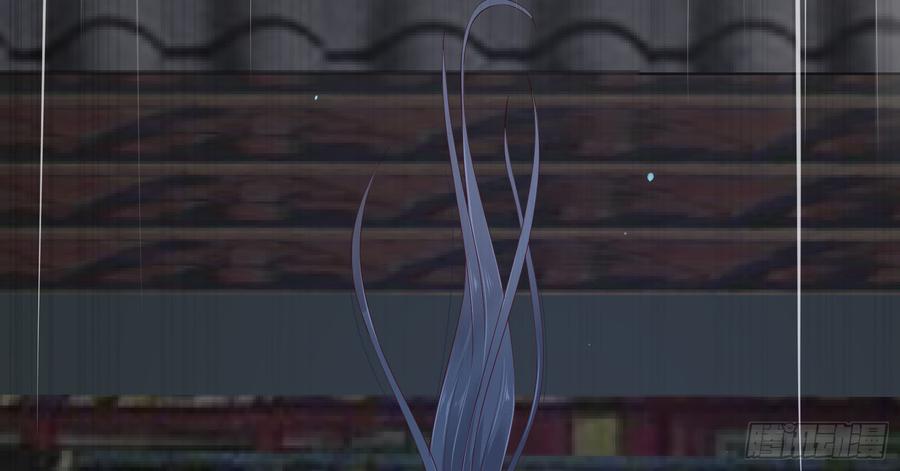 腹黑邪王宠入骨29话 凤神星降世