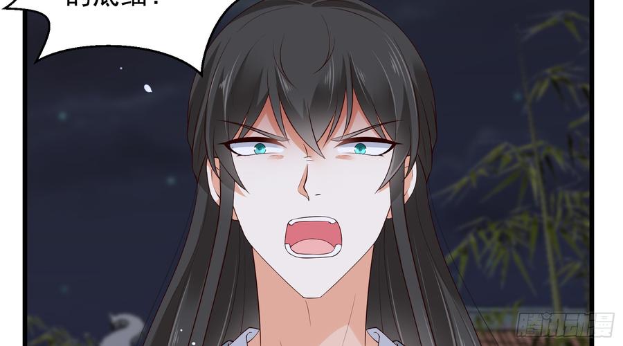 腹黑邪王宠入骨29话 凤神星降世