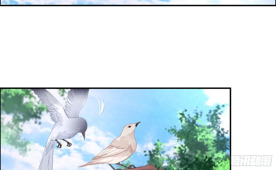 腹黑邪王宠入骨口吐芬芳教科书