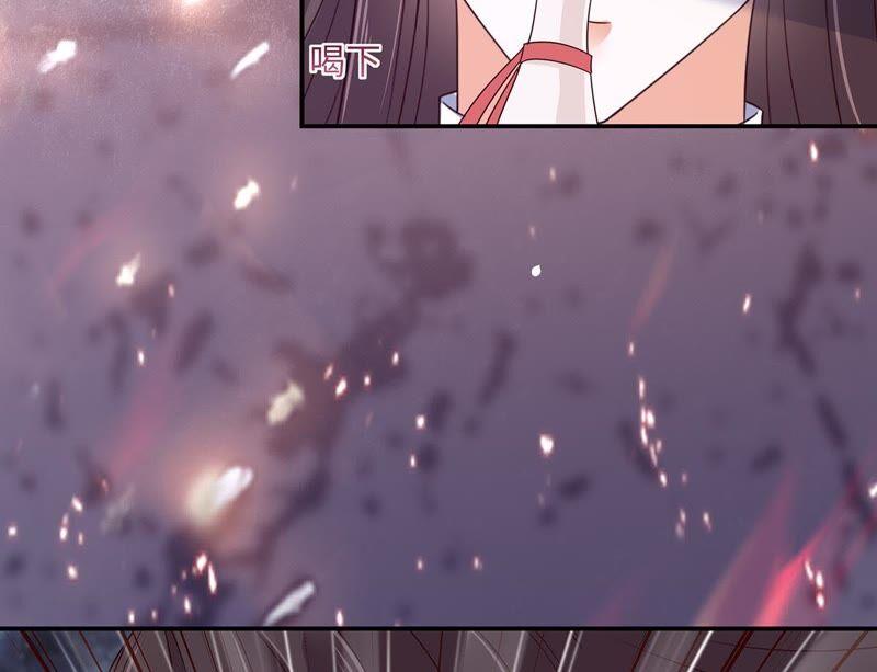 腹黑邪王宠入骨66话 你这是在玩火