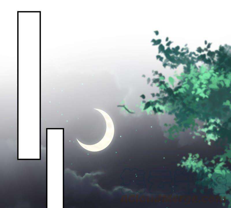 腹黑邪王宠入骨77话 落月宫的传说