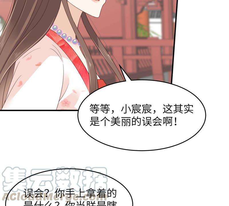 腹黑邪王宠入骨80话 小宸宸别生气嘛