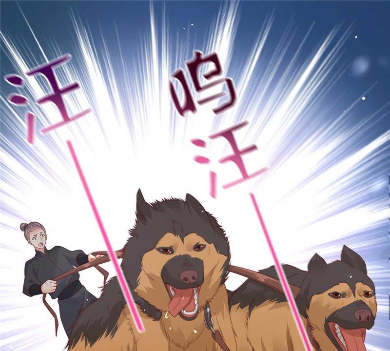 腹黑邪王宠入骨98话 不还钱就放狗