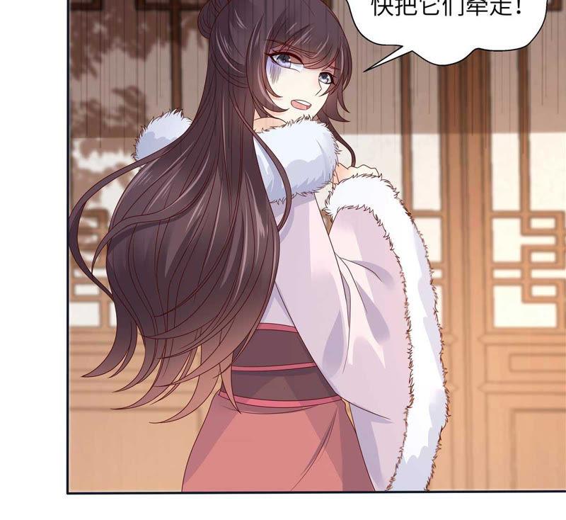 腹黑邪王宠入骨98话 不还钱就放狗