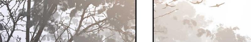 腹黑邪王宠入骨100话 敢动她死定了