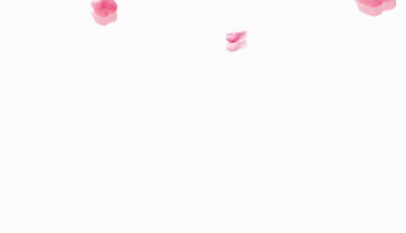 腹黑邪王宠入骨105话 人财两空