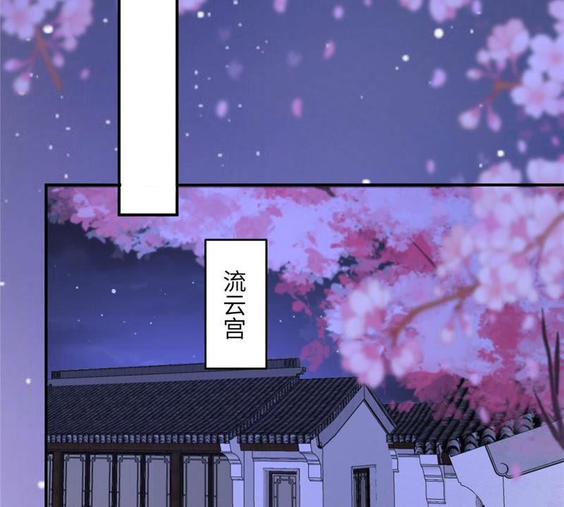 腹黑邪王宠入骨117话 鬼医来访