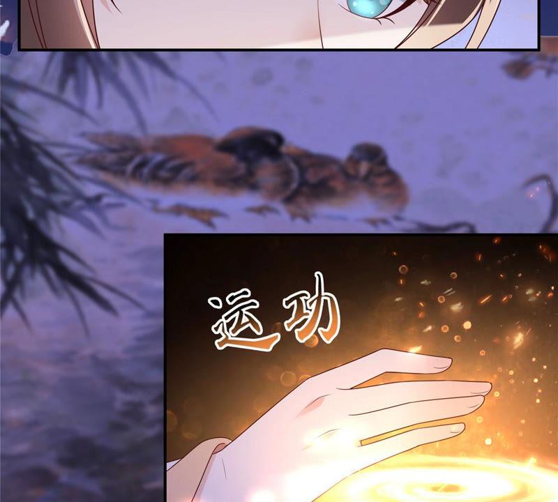 腹黑邪王宠入骨118话 命悬一线