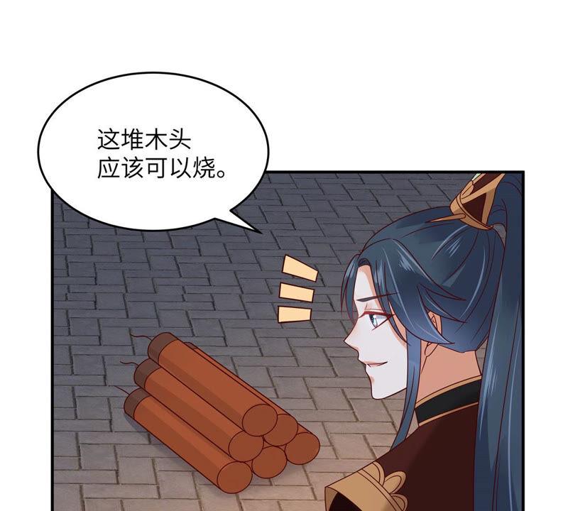 腹黑邪王宠入骨新年番外