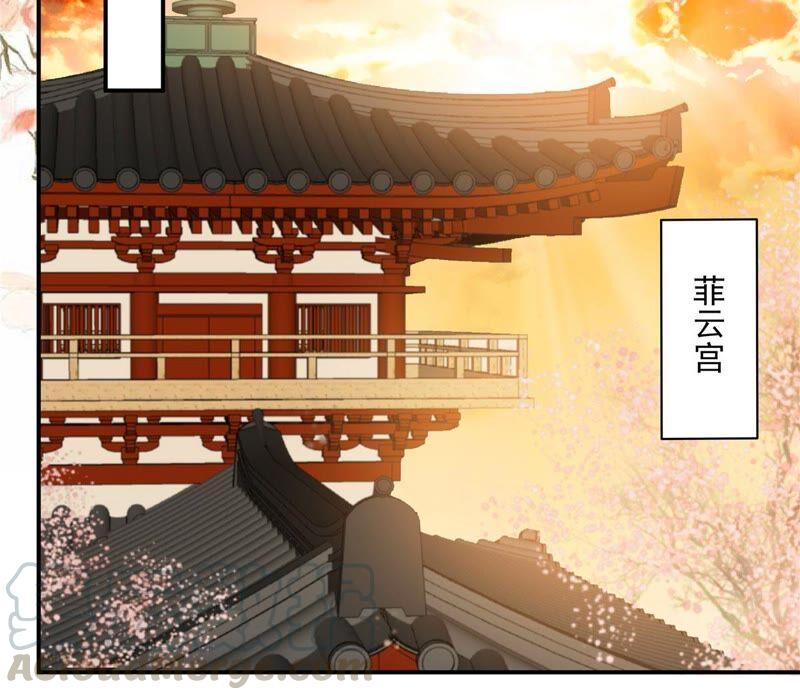 腹黑邪王宠入骨131话 未来的王妃