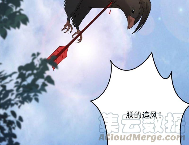 腹黑邪王宠入骨138话 狩猎，开始了