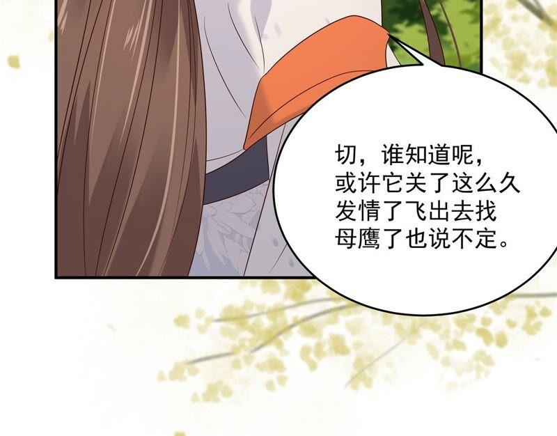 腹黑邪王宠入骨138话 狩猎，开始了