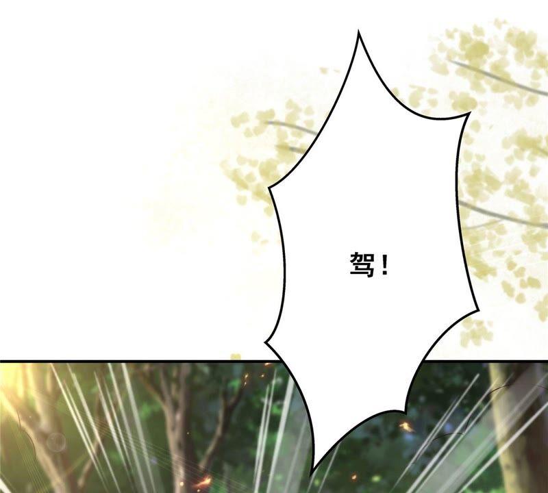 腹黑邪王宠入骨139话 这是朕的鸟！