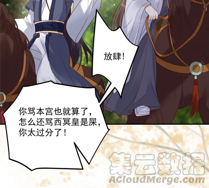 腹黑邪王宠入骨140话 你怎么骂人呢？