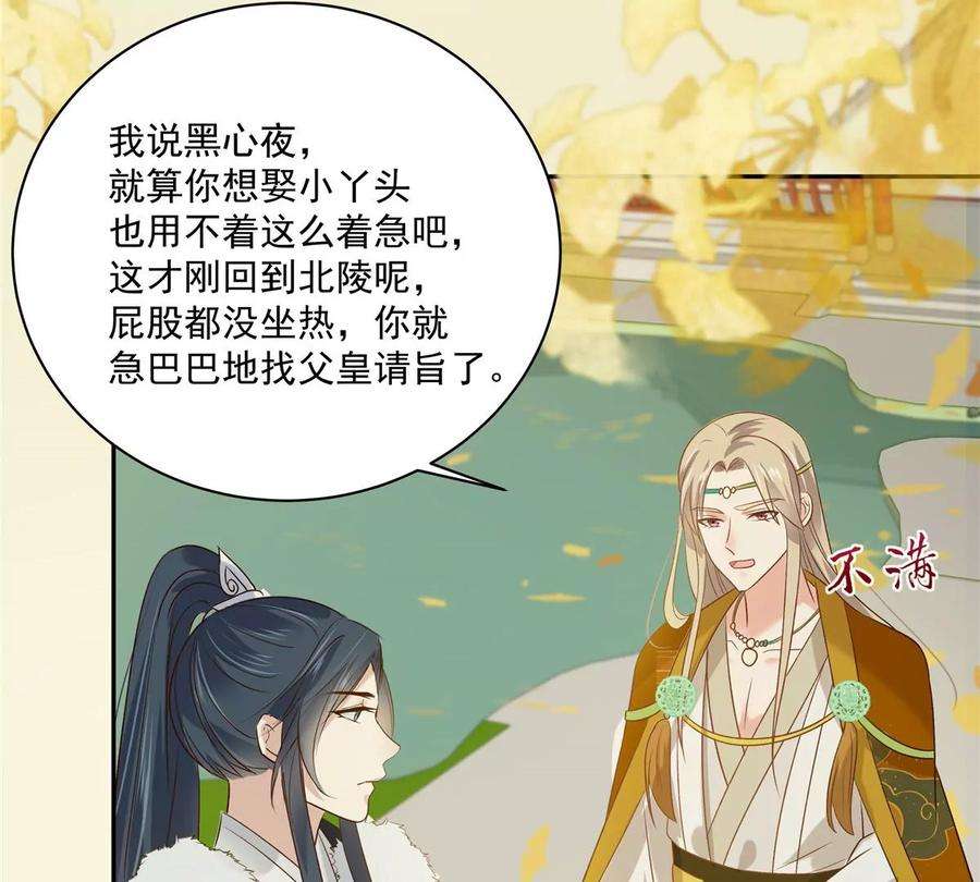 腹黑邪王宠入骨176话 准备提亲