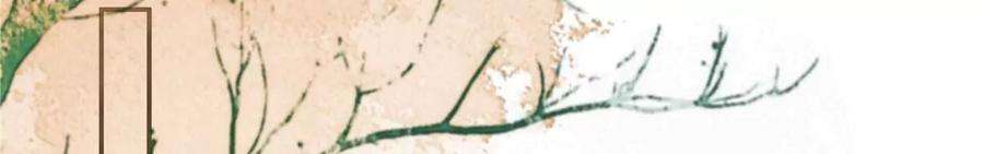 腹黑邪王宠入骨179话 当面羞辱