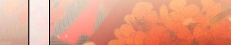 腹黑邪王宠入骨197话 来提亲了