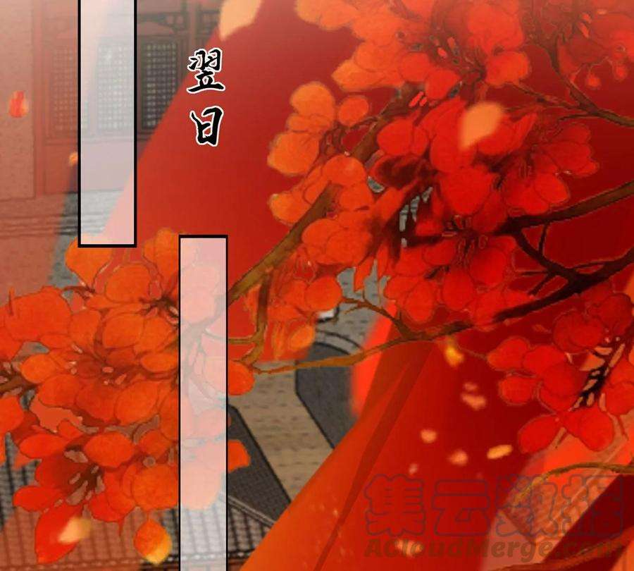 腹黑邪王宠入骨197话 来提亲了