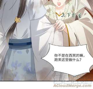 腹黑邪王宠入骨202话 自己的媳妇往死里宠