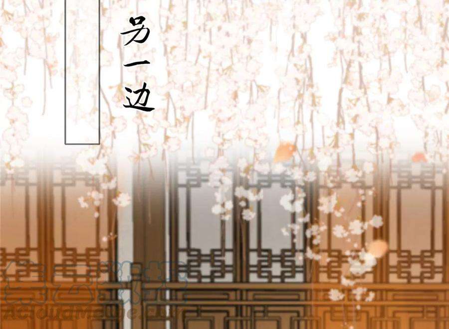 腹黑邪王宠入骨204话 你这个负心汉！