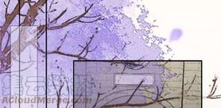 腹黑邪王宠入骨205话 喜欢你是我瞎了眼