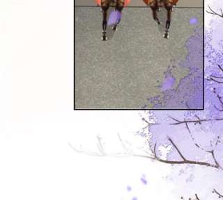 腹黑邪王宠入骨205话 喜欢你是我瞎了眼