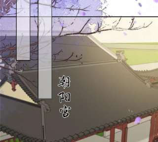 腹黑邪王宠入骨205话 喜欢你是我瞎了眼