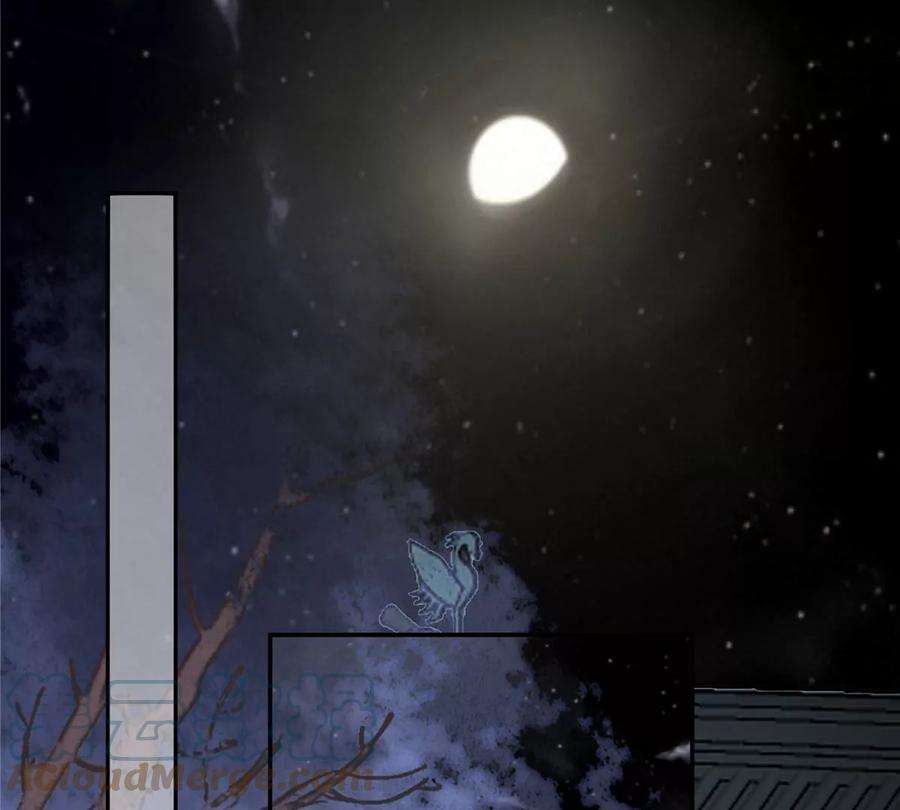 腹黑邪王宠入骨208话 皇兄的秘密