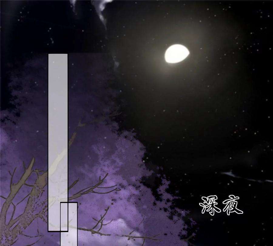 腹黑邪王宠入骨217话 招你为驸马