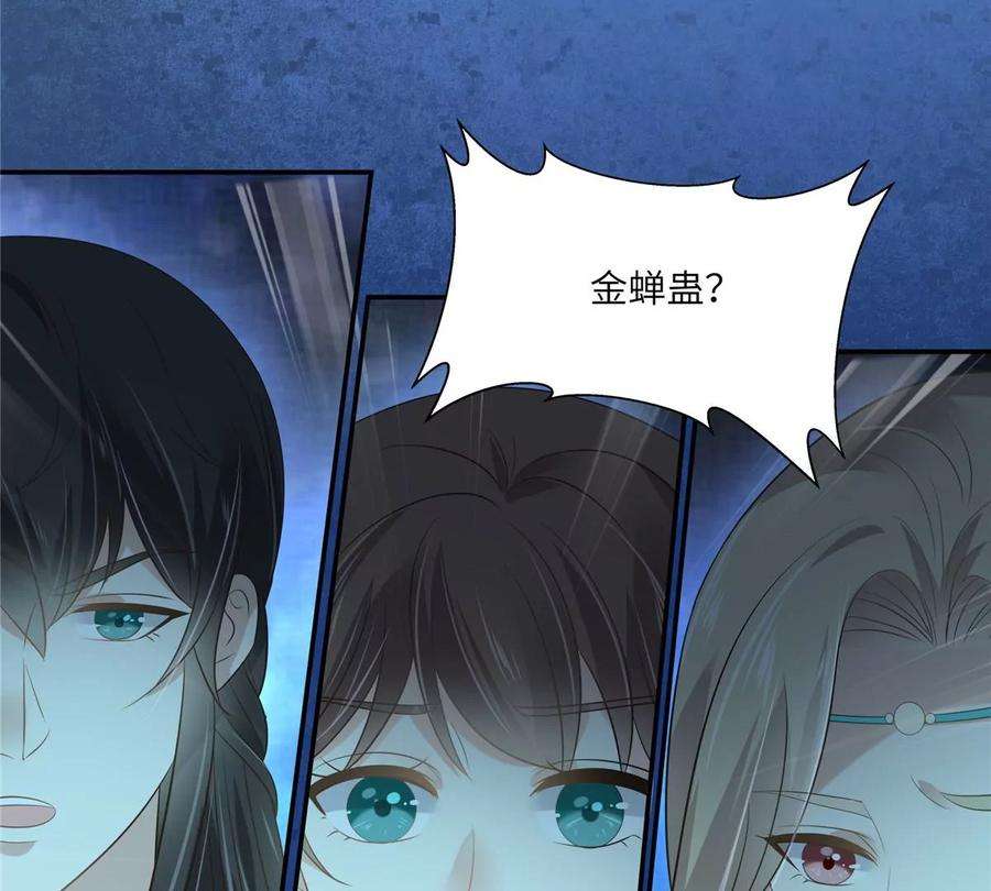 腹黑邪王宠入骨218话 我命由我不由天