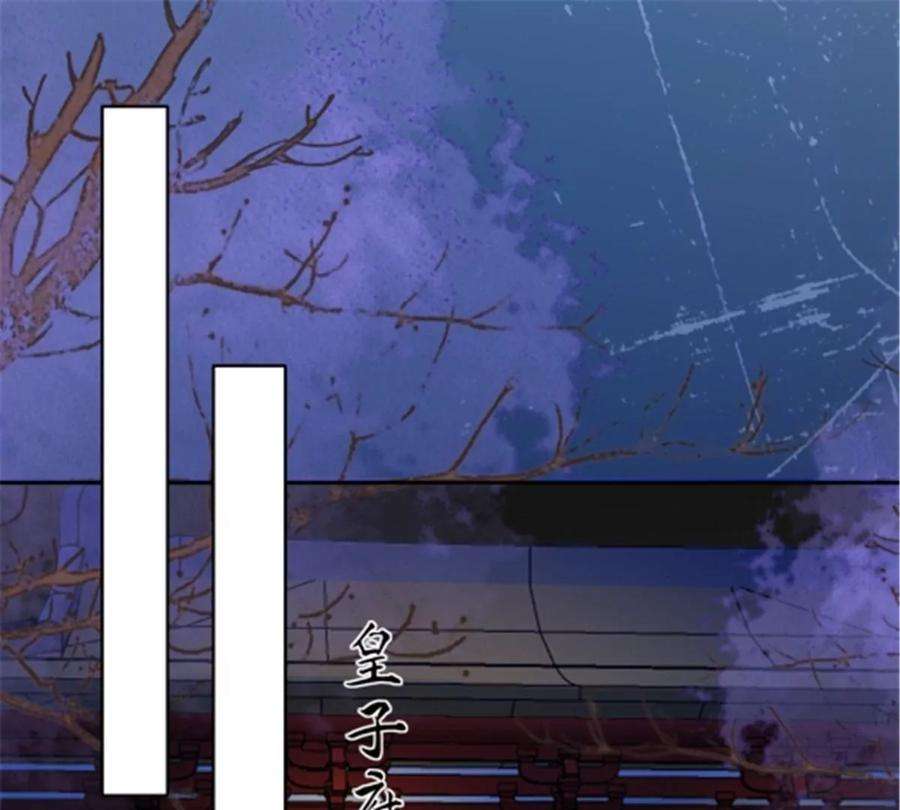 腹黑邪王宠入骨222话 这位大婶你哪位？