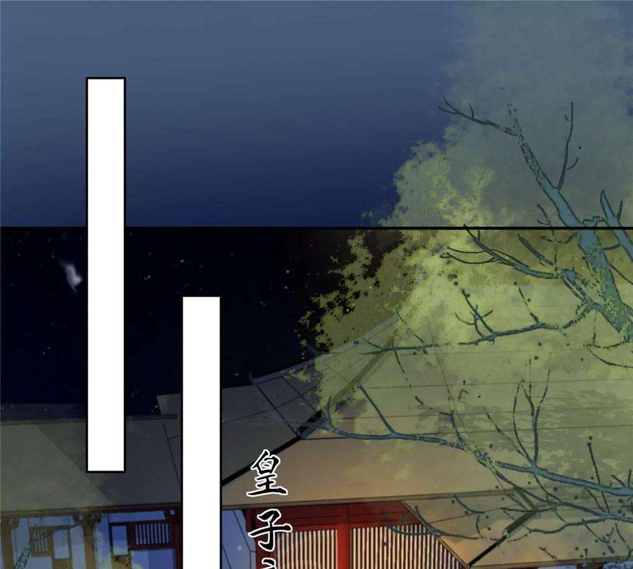 腹黑邪王宠入骨222话 这位大婶你哪位？