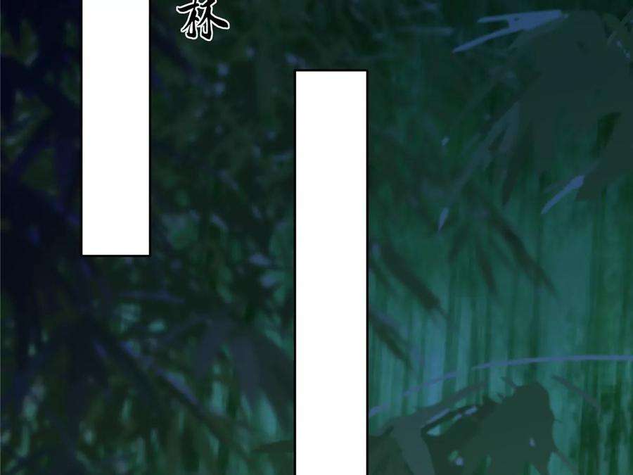 腹黑邪王宠入骨222话 这位大婶你哪位？