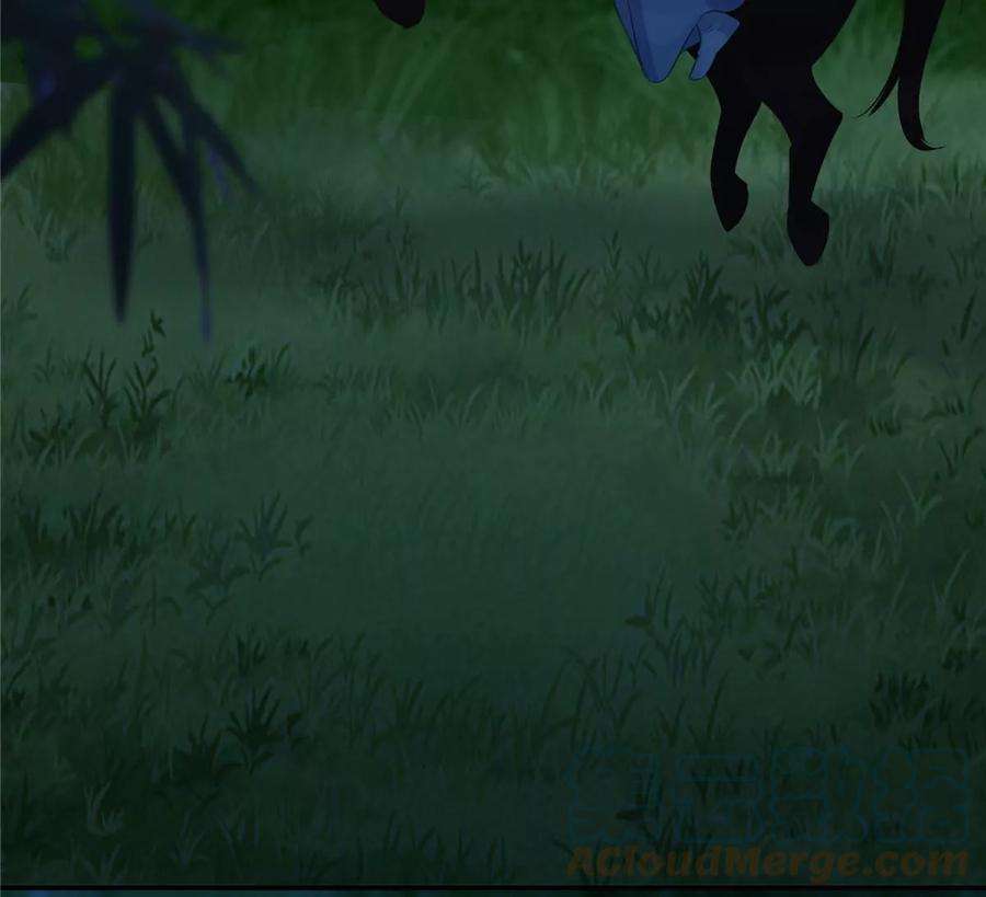 腹黑邪王宠入骨222话 这位大婶你哪位？