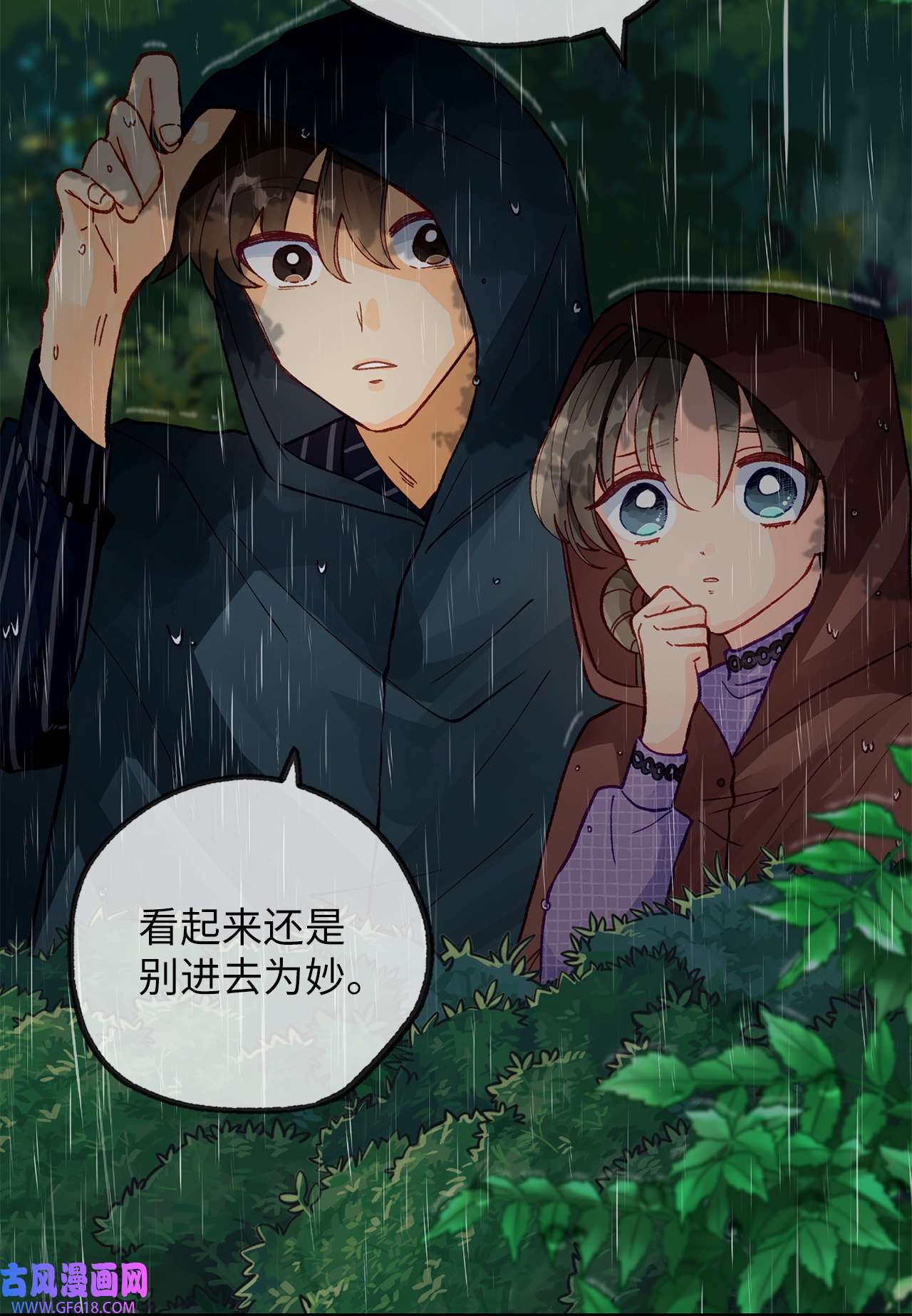 深情公爵的秘密30 话到过去