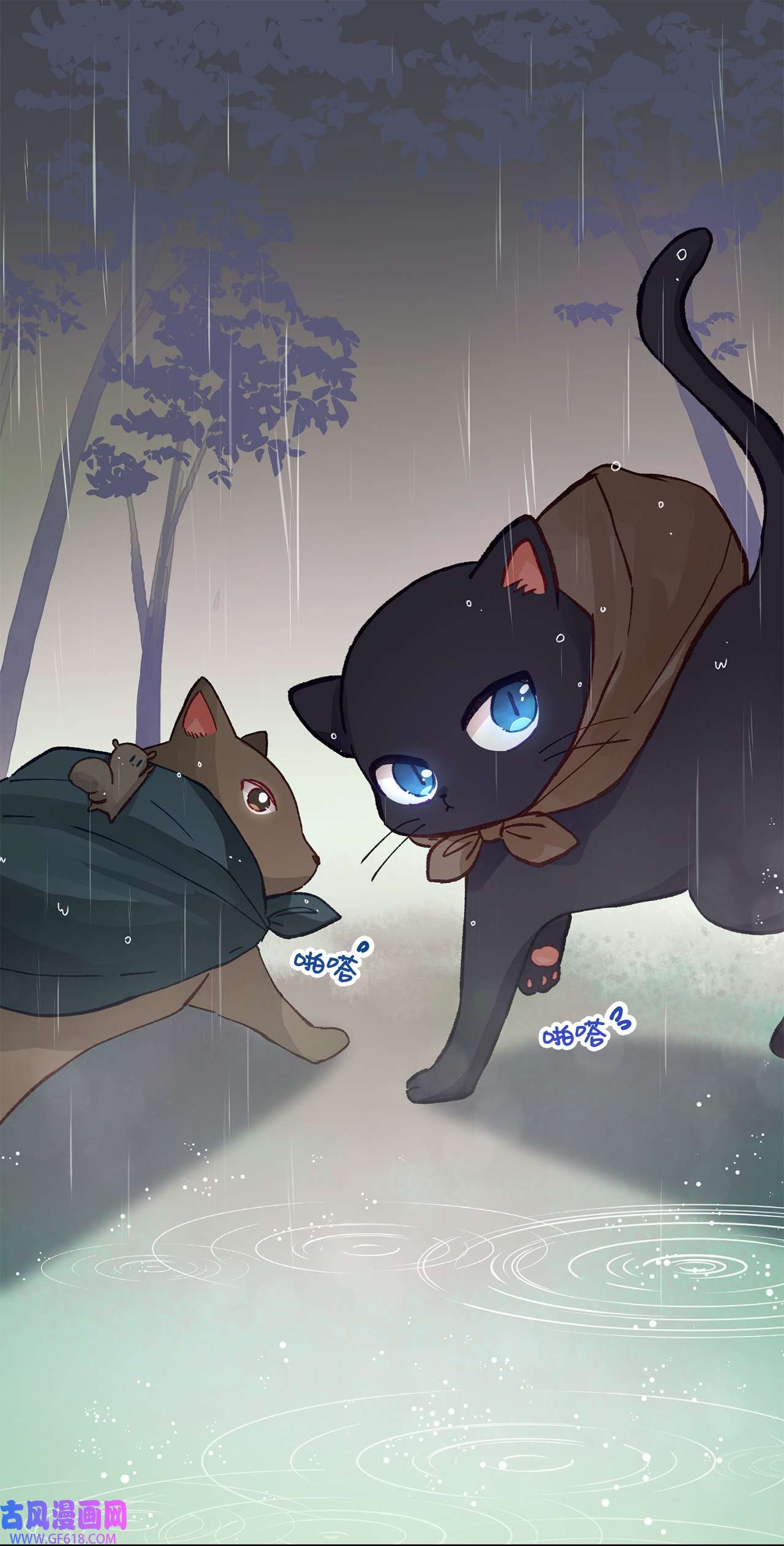 深情公爵的秘密35 雨中贵客