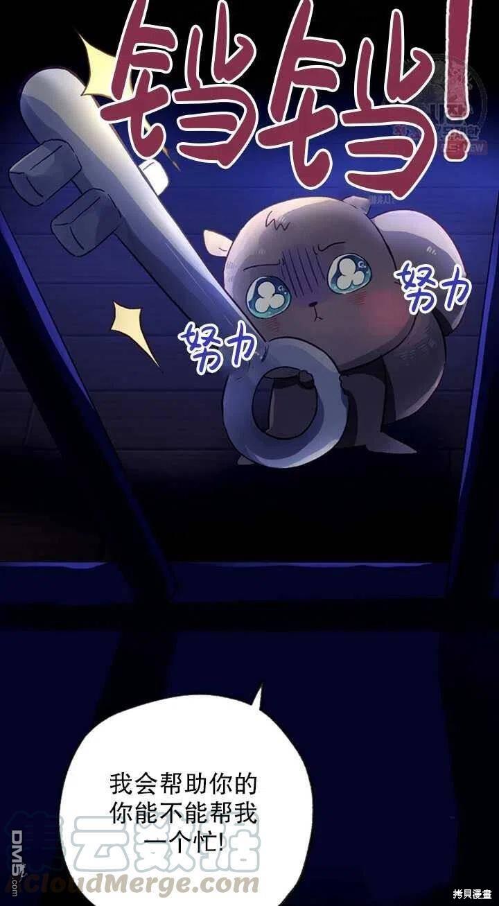 深情公爵的秘密第13话