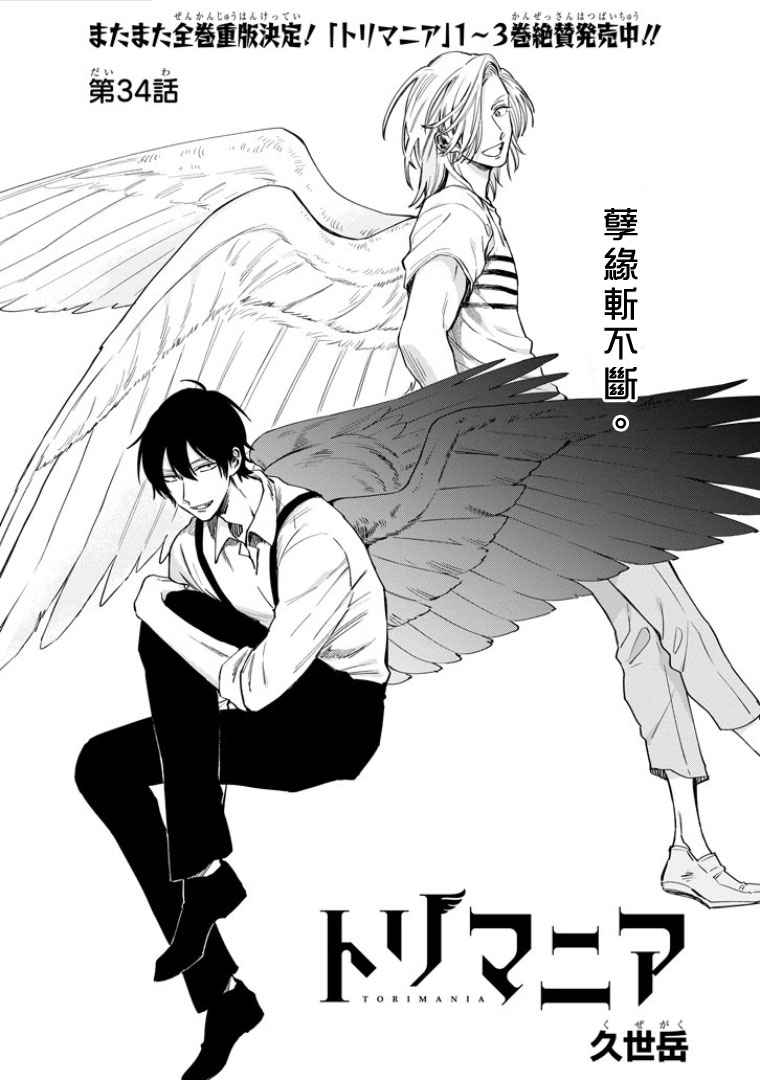翼国留学记第34话