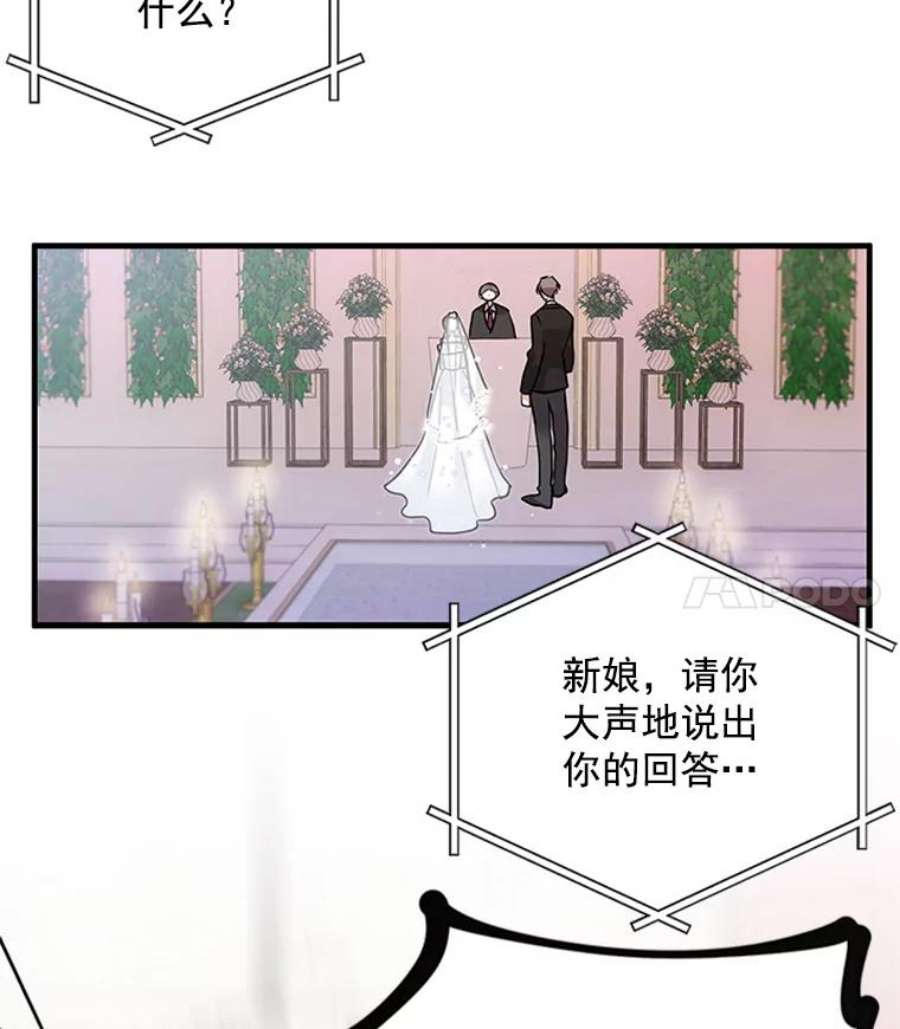 结婚开始的游戏1.第二次婚礼