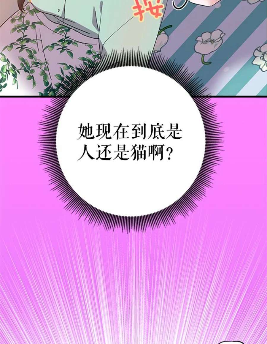 结婚开始的游戏30.猫咪之心