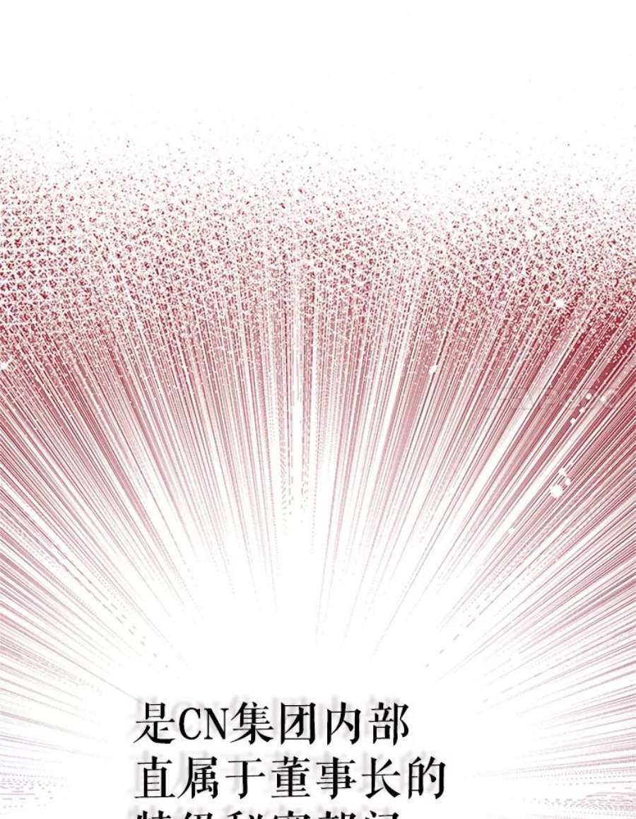 结婚开始的游戏31.秘密项目开发组