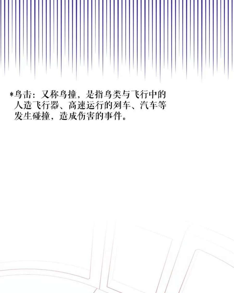 结婚开始的游戏77.机长
