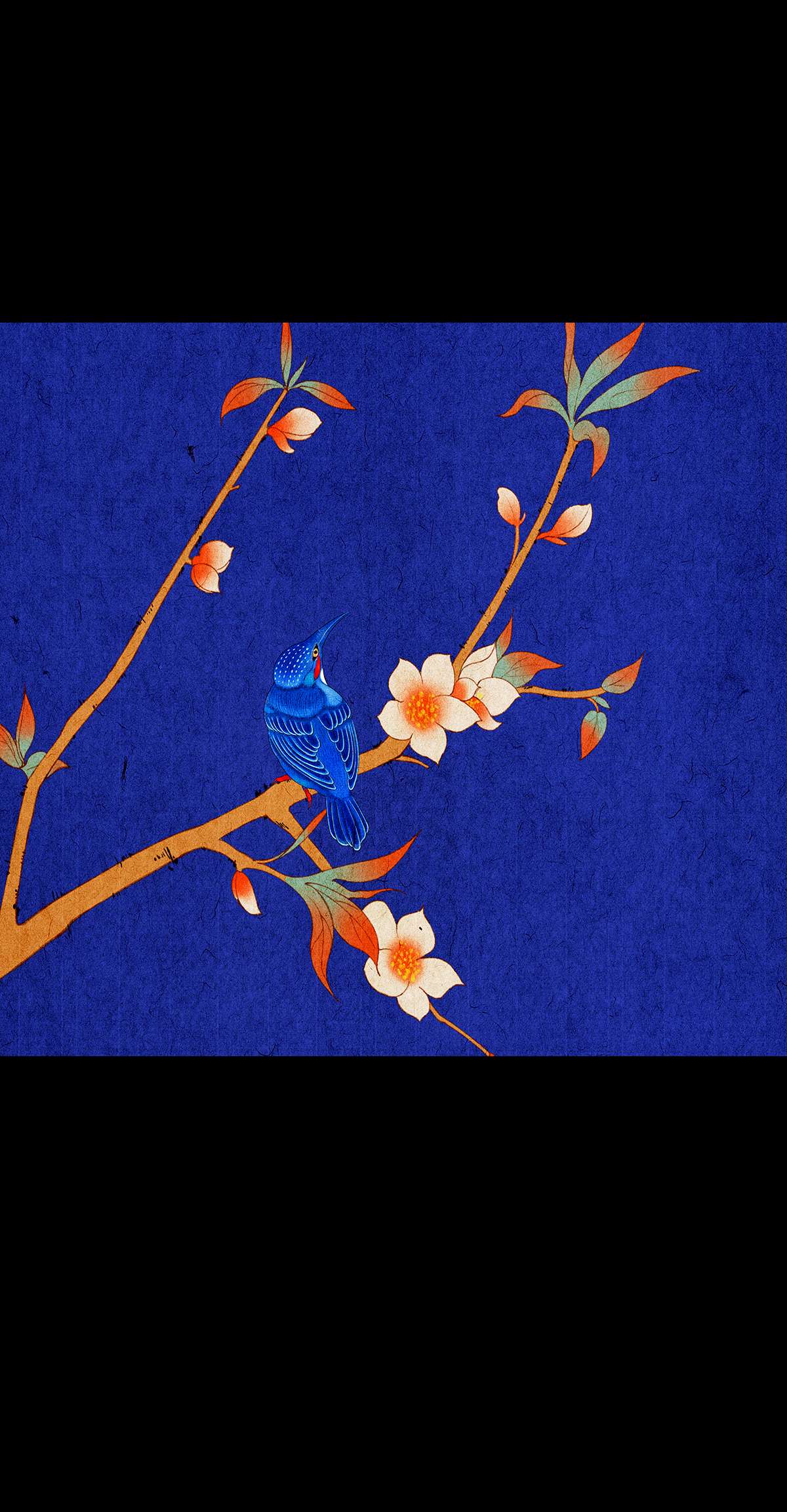 揽艳劫32十一话 三话 寻音而未果